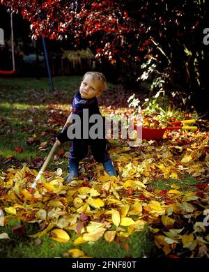 A little boy helps in the garden: raking up the autumn leaves. [automated translation] Stock Photo