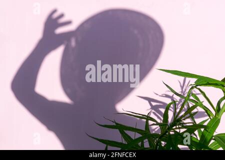 Woman in hat shadow and green leaves on pink background. Summer hipster concept. Copy space. Stock Photo