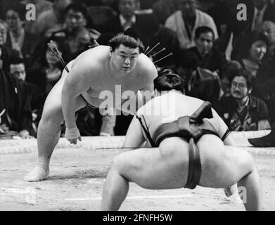Sumo wrestlers before the fight in the ryogoku kokugikan sumo arena