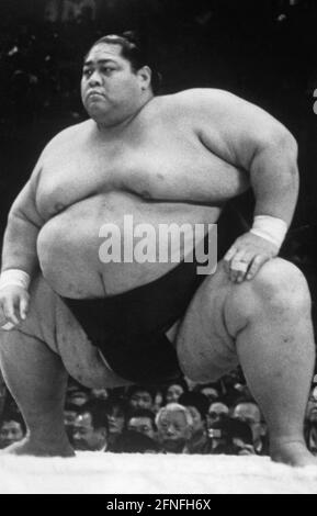 A sumo wrestler prepares for a fight in the ring. [automated translation] Stock Photo