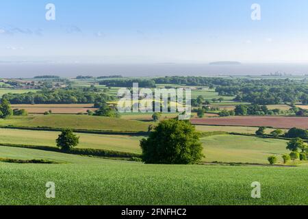 A sunny spring morning view over countryside and the Bristol Channel from the foot of the Quantock Hills National Landscape, Somerset, England. Stock Photo