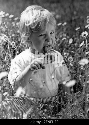 Christian licks an ice cream while sitting in a meadow. [automated translation] Stock Photo