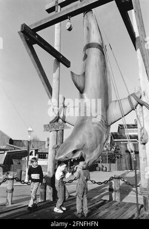 'Visitors to Universal Studios in Orlando, Florida, examine the dummy great white shark from the movie ''Jaws,'' directed by Steven Spielberg. [automated translation]' Stock Photo