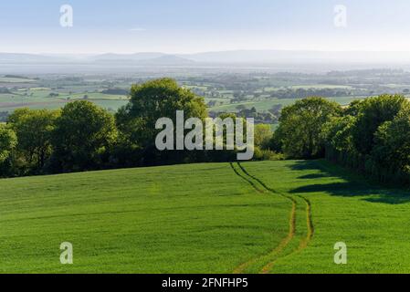 A sunny spring morning view over countryside and the Mendip Hills beyond from the foot of the Quantock Hills National Landscape, Somerset, England. Stock Photo