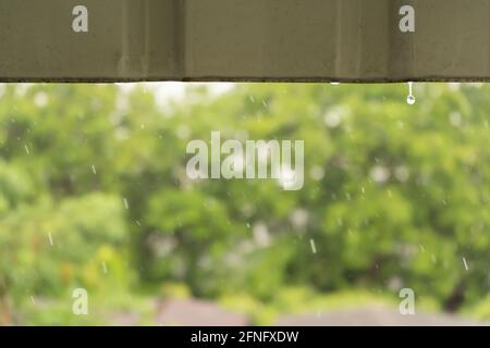 Rain falling from the roof with trees in the background Stock Photo