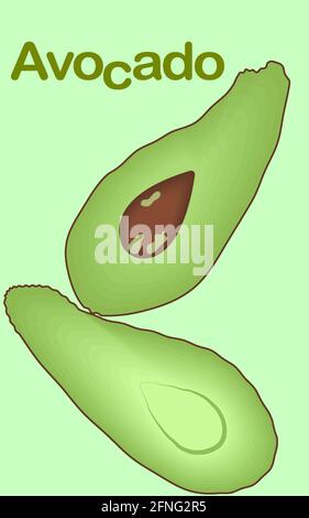 Green avocado - healthy fruit Stock Vector