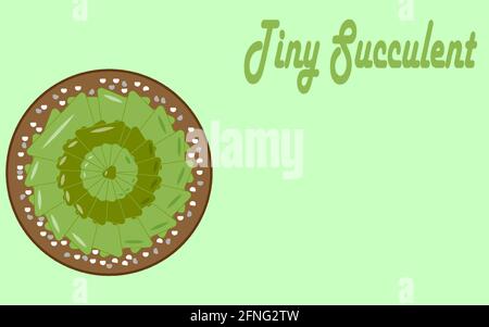 Houseplant Green Small Flower Succulent Stock Vector