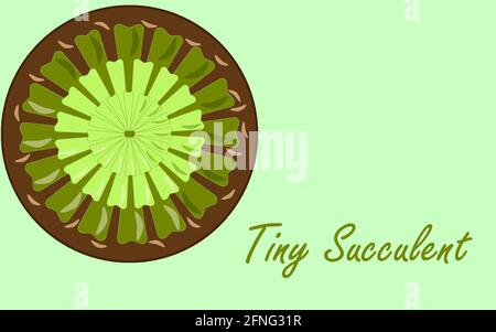 Houseplant Green Small Flower Succulent Stock Vector
