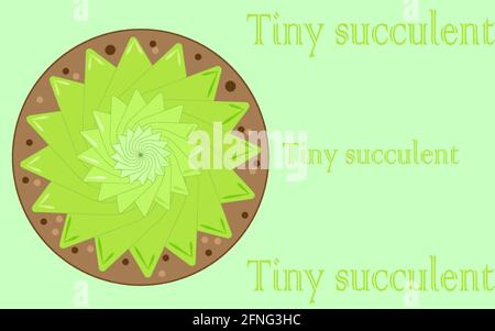 Houseplant Green Small Flower Succulent Stock Vector