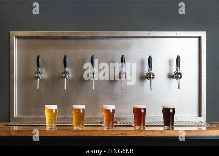 Different types of beer with foam in glass jugs against row of taps in bar on gray background Stock Photo