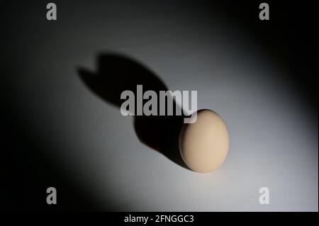 Abstract egg with duck shadow on white background Stock Photo