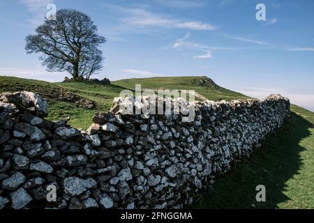 The typical landscape in the White Peak area of the Peak District National Park - this is Narrowdale Hill near Alstonefield, Staffordshire Stock Photo