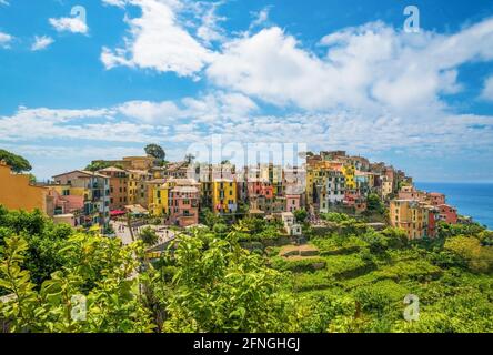 Corniglia (Italy) - A view of Monterosso, one of Five Lands villages in the coastline of Liguria region, part of the Cinque Terre National Park Stock Photo