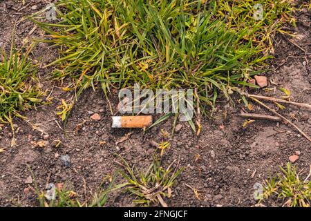 Discarded cigarette butts pollute the environment around the world Stock Photo