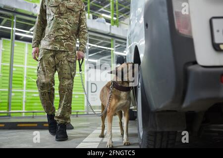 Military shepherd dog checking and smelling the lorry in warehouse Stock Photo