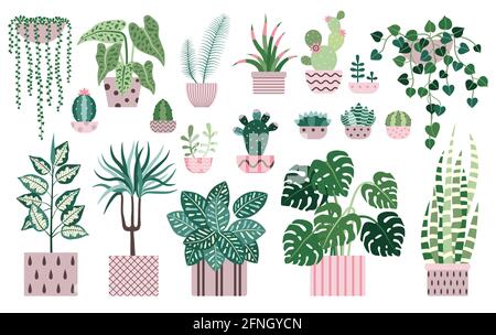 House Plants and Indoor Home Flowers Icons Stock Vector