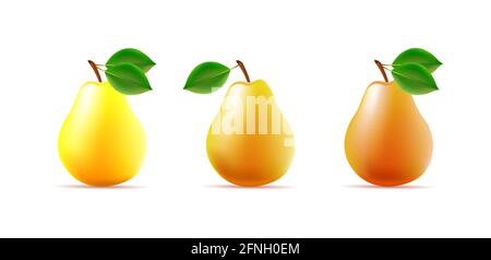 Set os 3d pear illustration, different color with leaves, whole fruit glossy vector, isolated Stock Vector