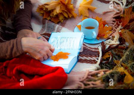 Picnic in the autumn forest. Cup with tea, apples, an open book and autumn leaves on a red scarf. Stock Photo