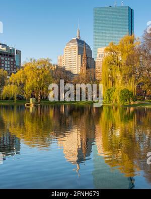Morning photograph of the Boston Public Garden in the spring with the first leaves of the season and reflection of the city in the pond. Stock Photo