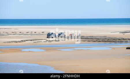 Oyster farming at Crows Pasture Beach on Cape Cod, USA Stock Photo