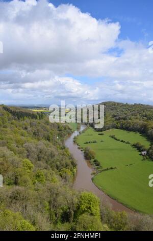 Wye Valley on the England/Wales border taken from Symonds Yat viewpoint, UK May 2021 Stock Photo