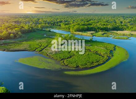 Aerial top-down view river in green forest Stock Photo