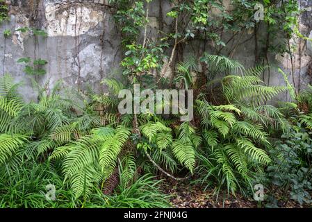 The Old Theatre Park, or the Alan Hitchcock Park, is the site of an old theatre along Main Street in Alachua, Florida. Stock Photo