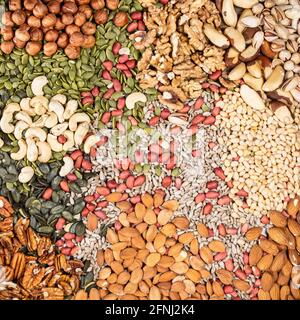 square food background - various shelled nuts and seeds Stock Photo