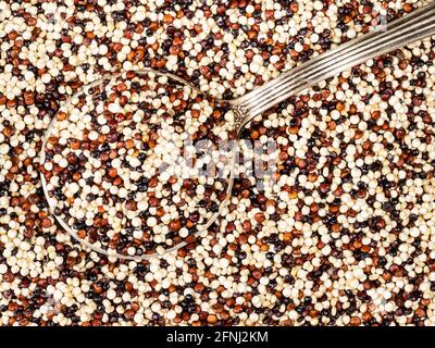 top view of tablespoon in mix of quinoa seeds closeup Stock Photo