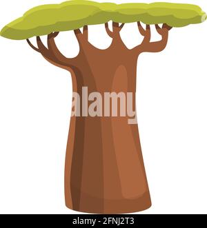 Baobab tree icon. Cartoon of Baobab tree vector icon for web design isolated on white background Stock Vector