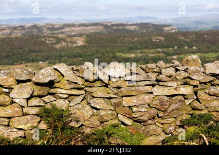 A dry stone wall near Newton in Cartmel in Cumbria, England. Lichen grows on the wall. Stock Photo
