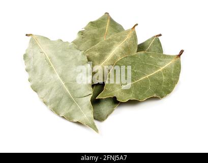 few dried Bay Laurel leaves closeup on white background Stock Photo