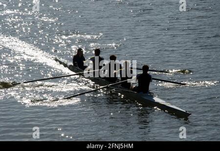 Crew of four with cox rowing towards observer with sun glistening on the water and making both boat and crew stand out as silhouettes Stock Photo