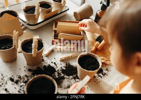 6 years old girl planting herbs at home Stock Photo