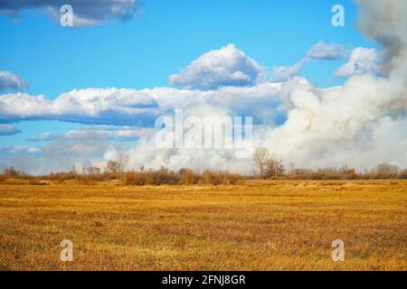 Smoke from a forest fire rises into the sky on a sunny autumn day Stock Photo