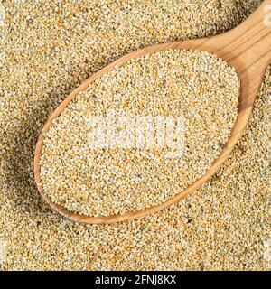 top view of unhulled foxtail millet seeds in wood spoon closeup Stock Photo