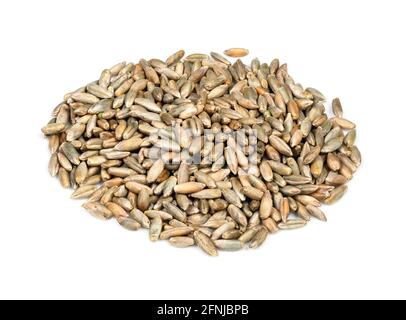 pile of husked rye grains closeup on white background Stock Photo