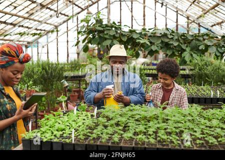 Father and son watering flowers and plants with woman using tablet pc while they working in the greenhouse Stock Photo