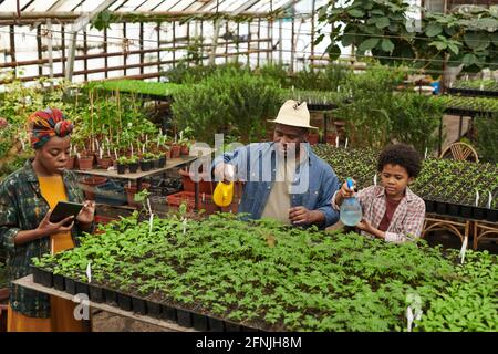 Family of three watering plants together while woman using digital tablet in the greenhouse Stock Photo