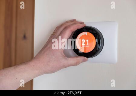 Person controlling a smart thermostate in a connected smart home Stock Photo