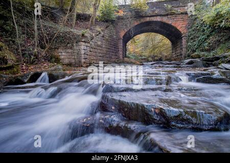 Bridge over May Beck, Sneaton Forest, Near Whitby Stock Photo