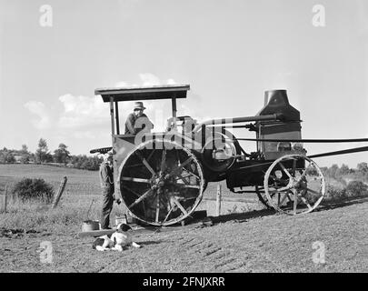 Hired Hand using Tractor for Threshing on Farm of Alfred Shaffner, Sugar Hill Area near Townsend, New York, USA, Jack Delano, U.S. Farm Security Administration, September 1940 Stock Photo
