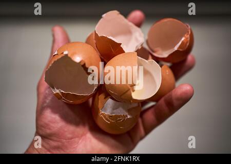Close view of a hand with a handful of broken eggshells Stock Photo