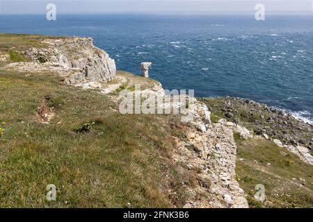 St Aldhelm's Head aka St Alban's Head, Jurassic Coast, Dorset Coast Path, Dorset, UK Stock Photo