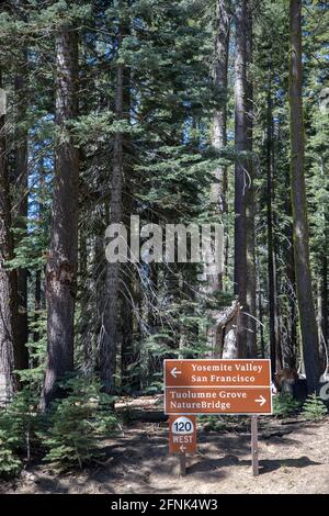 Road signs on the way to Yosemite Valley via Highway 120 and Crane Flats. Stock Photo