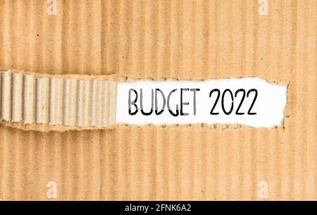 A document folder with the Budget for 2022 written on its torn cover.