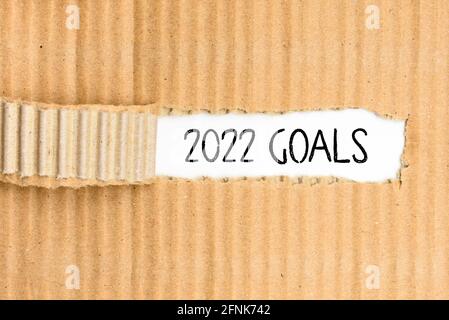 Documents with the most important Goals for 2022, written on its torn cover.