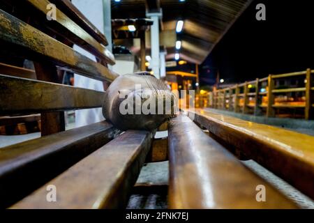 A little sea lion is sleeping on a bench in the middle of Puerto Stock Photo