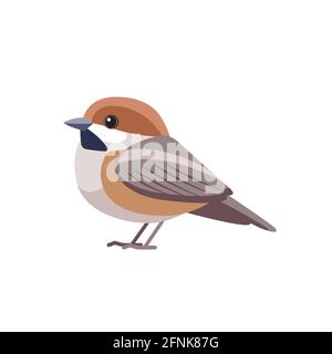 Chestnut-backed Chickadee, Poecile rufescens . Sparrow bird cartoon flat style beautiful character of ornithology, vector illustration isolated on Stock Vector
