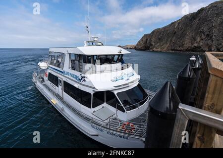 Channel Islands National Park, California, USA - May 11, 2021:  Island Packers tourist boat docked at Scorpion Anchorage on Santa Cruz Island near Ven